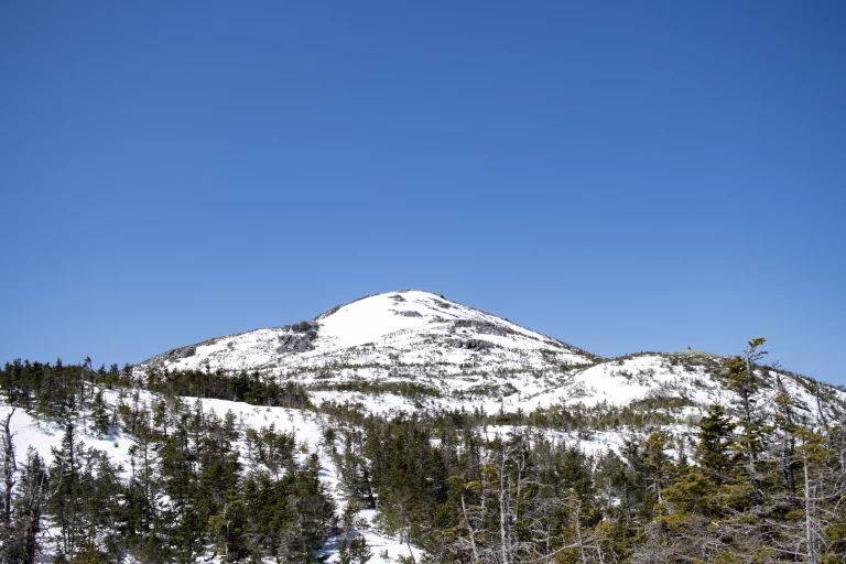 Views of Marcy from above the tree line.