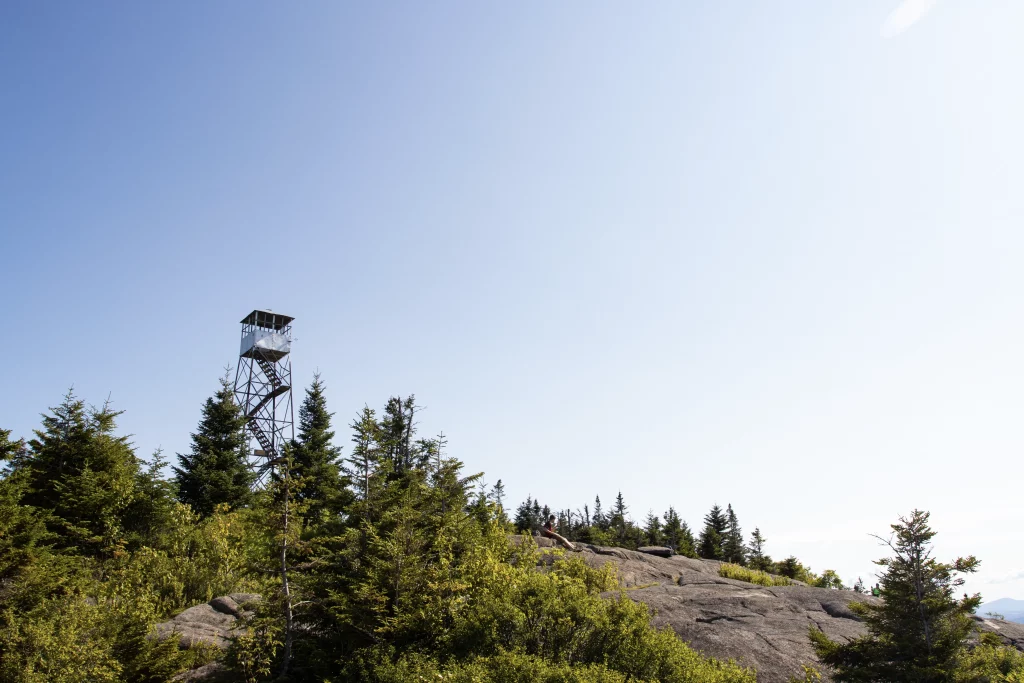 Regis offers great views and the tower hovers above the tree line.