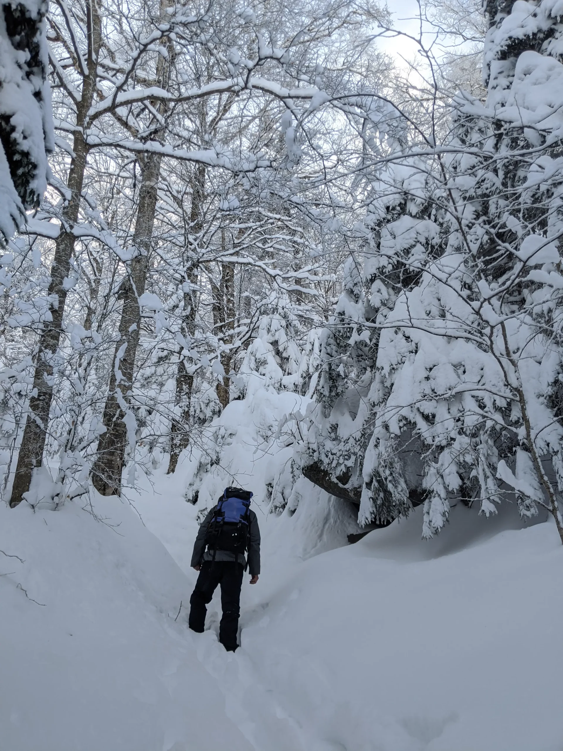 We did a winter climb right after a pretty intense snowstorm had swept through.