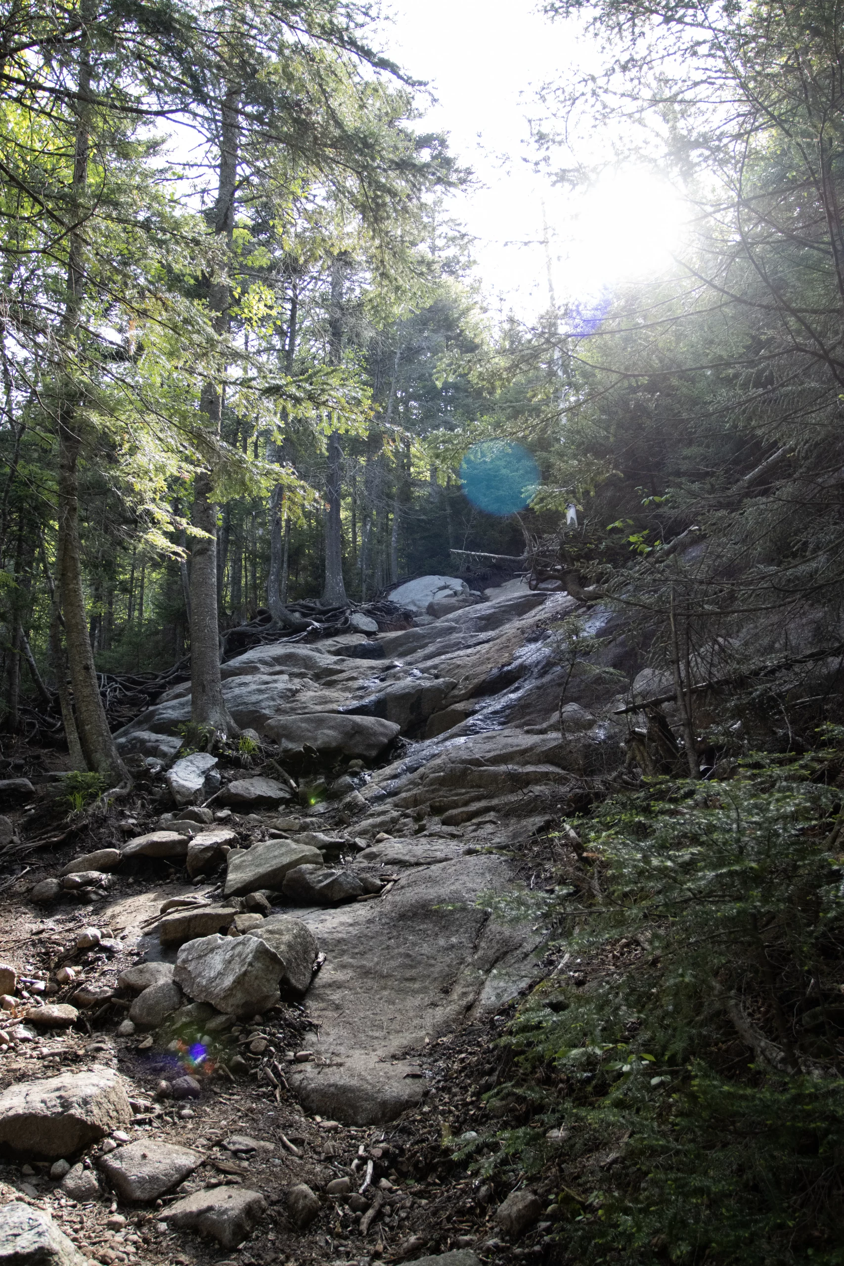 One of the many scrambles on the trail, Ampersand has a few of these technical spots.