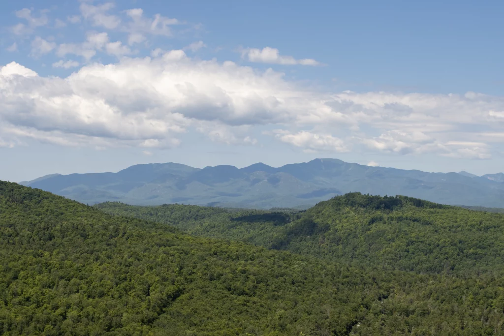 Since the Tower does offer 360 views, you get to see a little bit of everything.