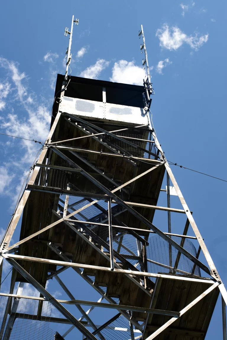 The Tower on Belfry is not very large but does get you up above the tree line.