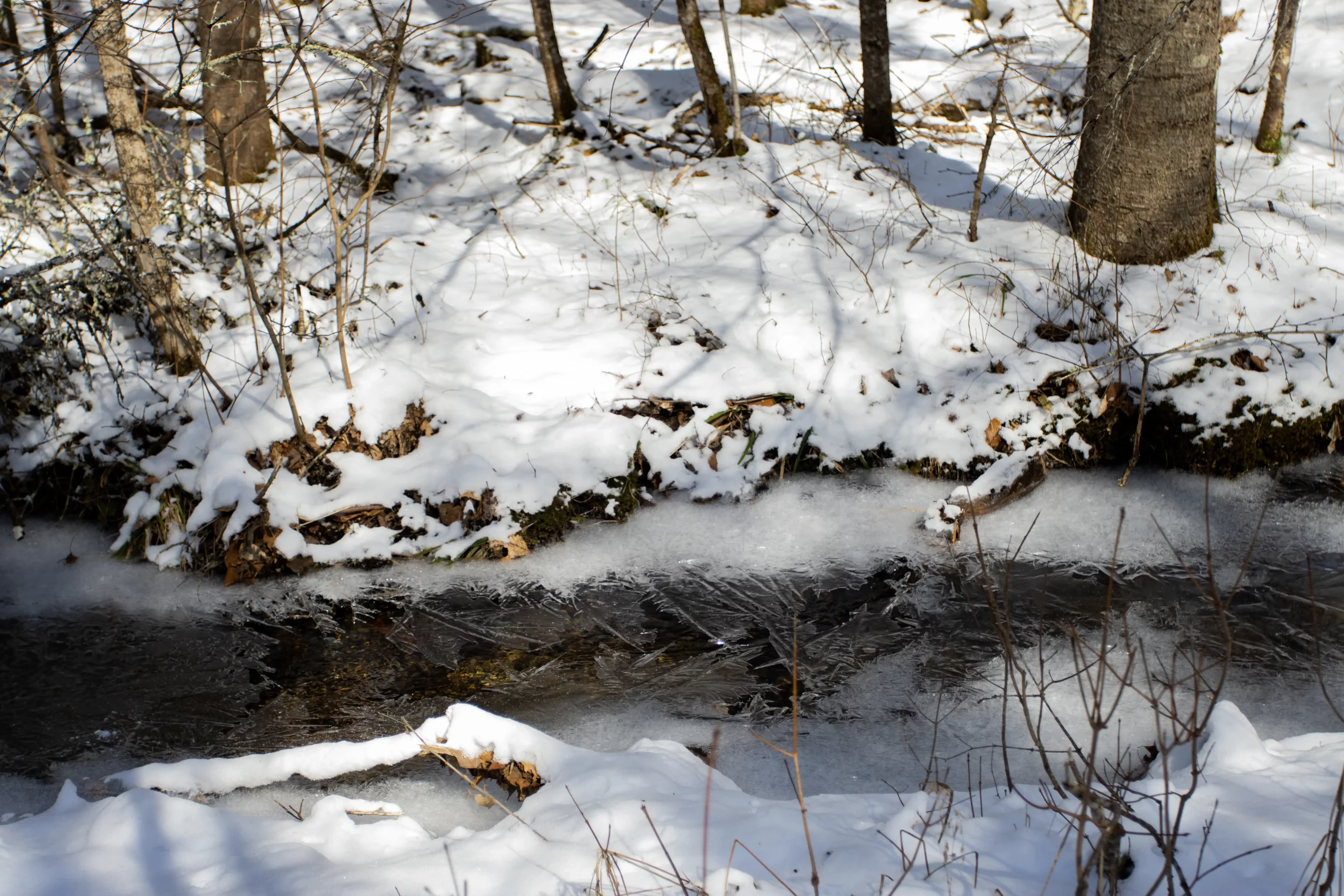 We decided to hit Haystack in early March and things we're still very winter.