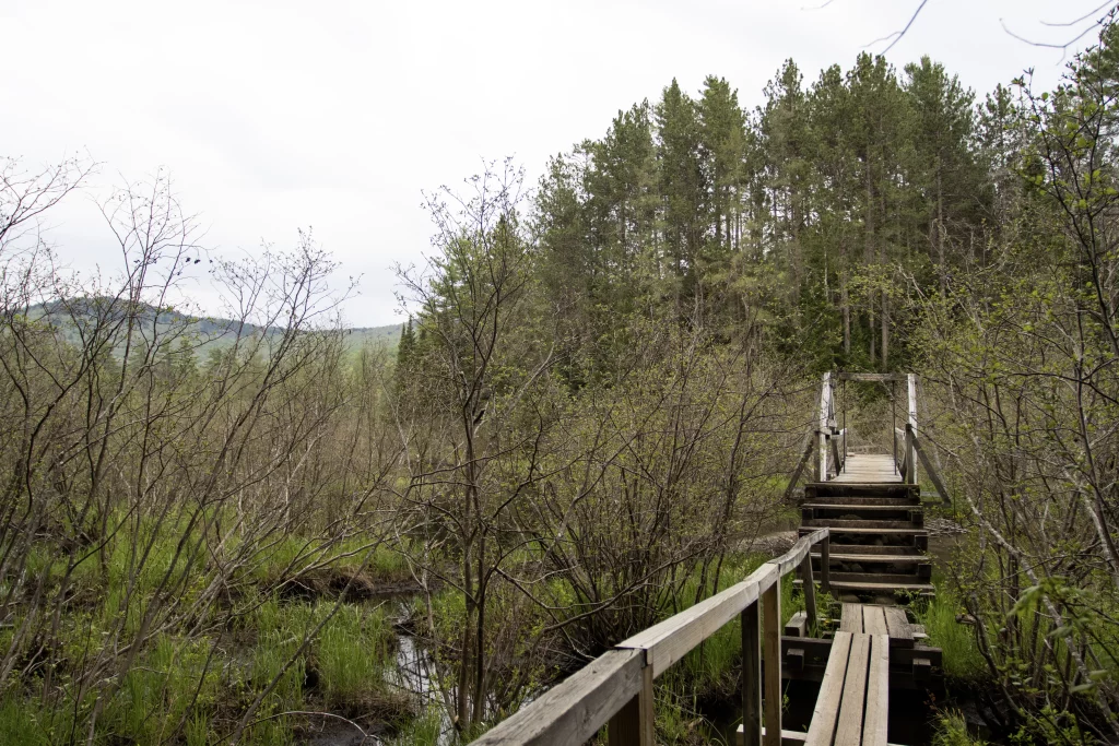 Early on, a bog portion is traversed over with a rather large bridge.