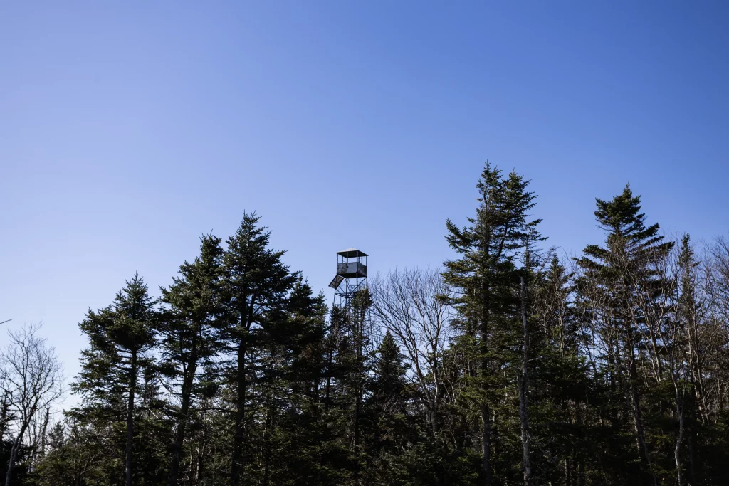 View of the Wakley Fire Tower from the Helicopter Pad.