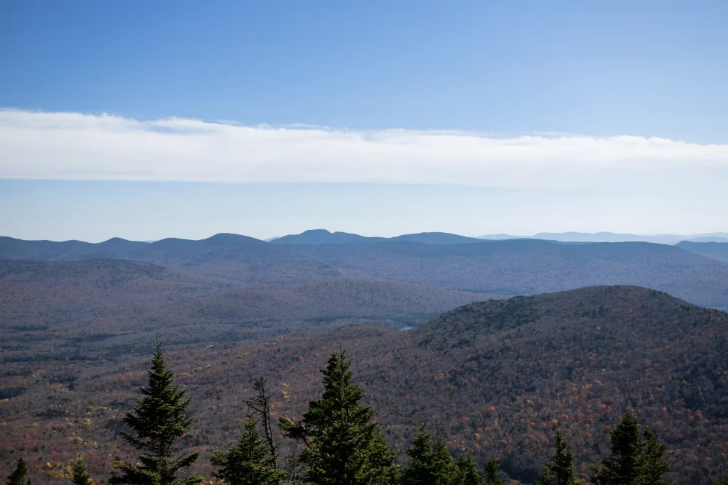 This shot is from near the top of the Tower.