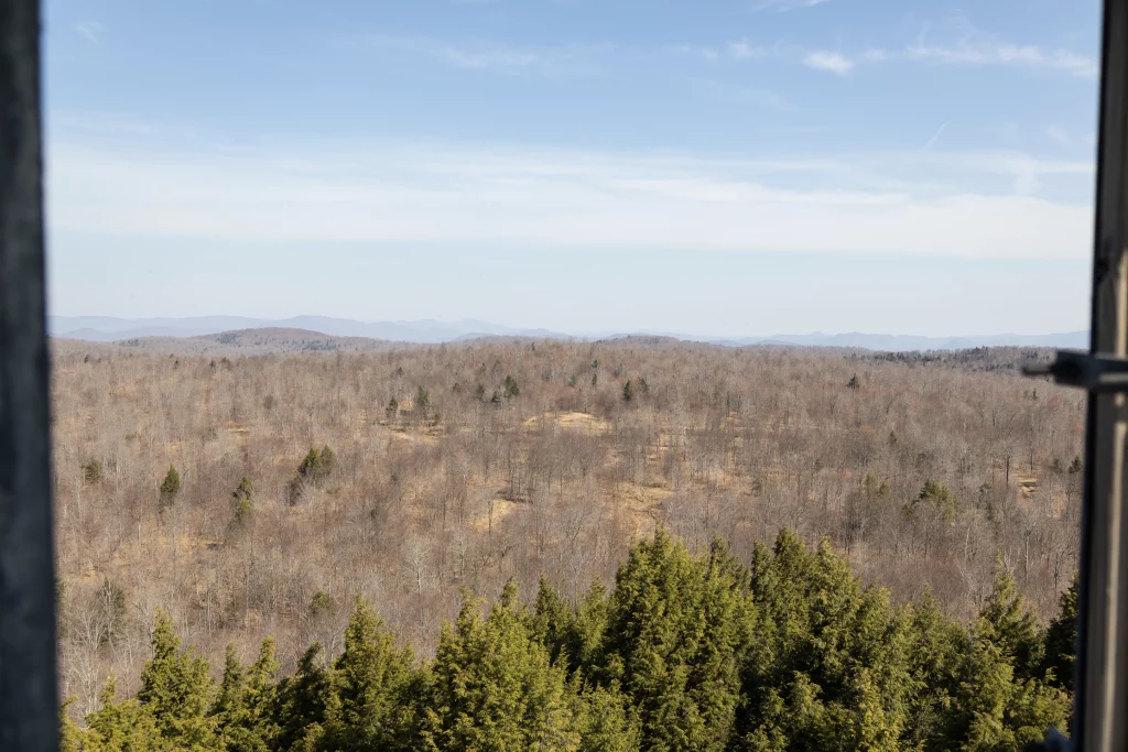 We're early enough in the Spring to miss most of the foliage growth.