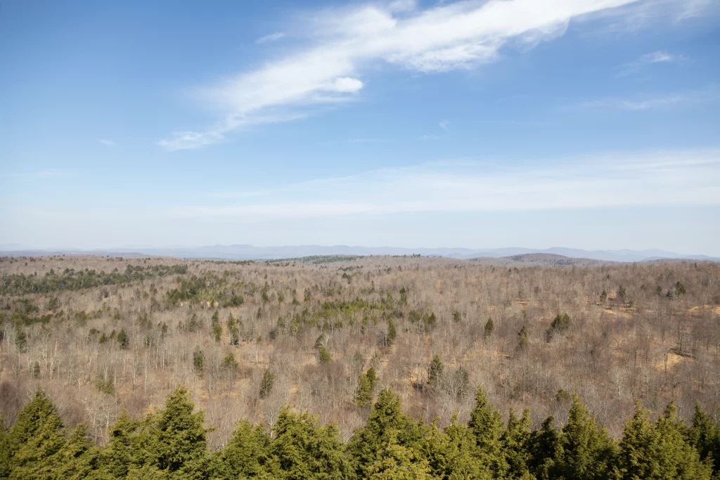 Spruce is pretty far South in the ADK and towers over the local hills.