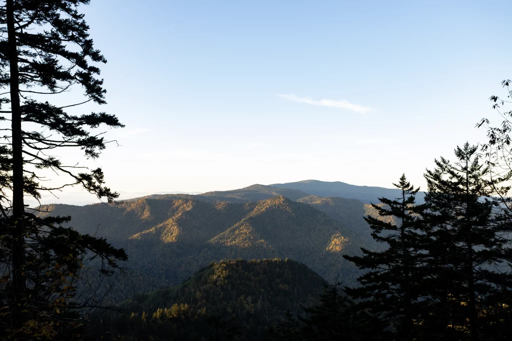 We didn't quite make it to the peak for sunrise, but we caught some views from a few open lookouts.