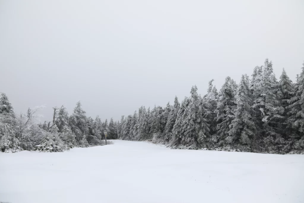 Looks like a different trail or possibly a ski path?