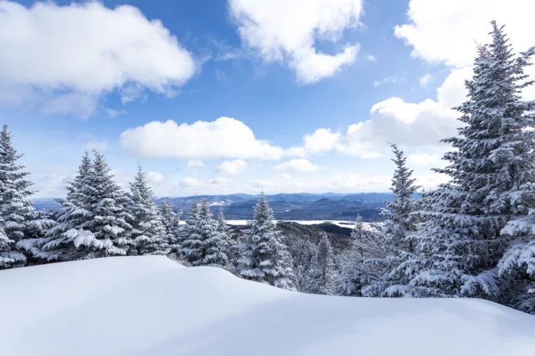 The peak is entirely wooded, but this opening near the top offers quite a bit in terms of views.